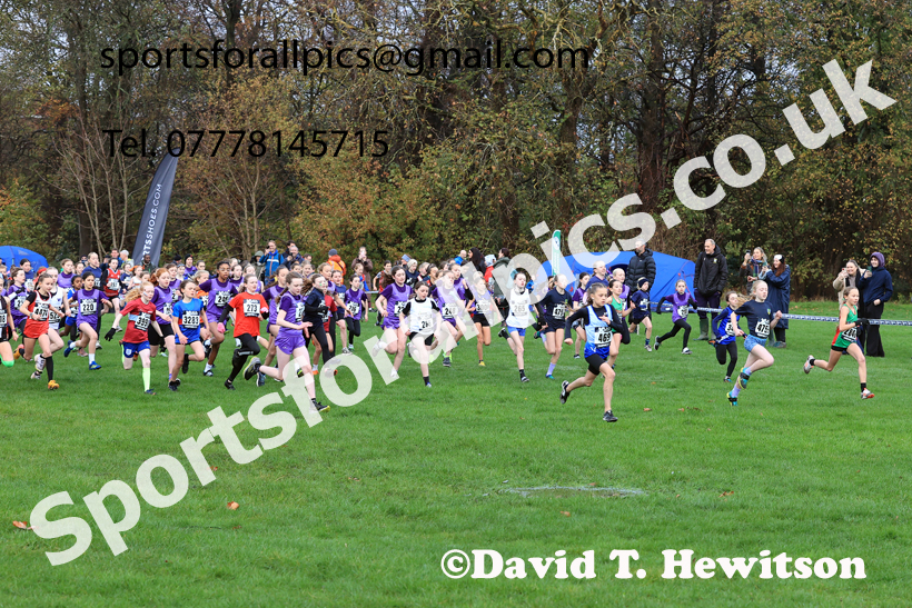 Girls Under-11s 2025 Liverpool Cross Challenge, Sefton Park, Saturday, November 22th. Photo: David T. Hewitson/Sports for All Pics